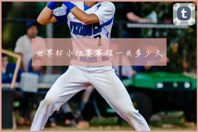 世界杯小组赛赛程一共多少天
