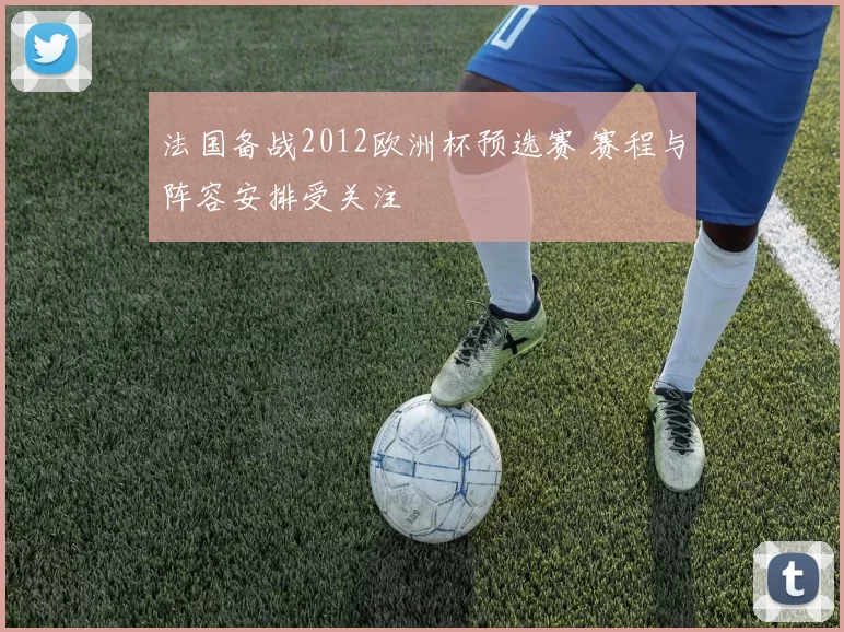 法国备战2012欧洲杯预选赛 赛程与阵容安排受关注
