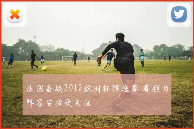法国备战2012欧洲杯预选赛 赛程与阵容安排受关注