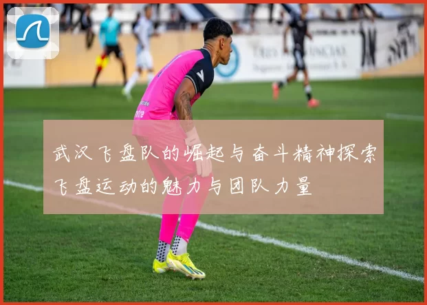 武汉飞盘队的崛起与奋斗精神探索飞盘运动的魅力与团队力量