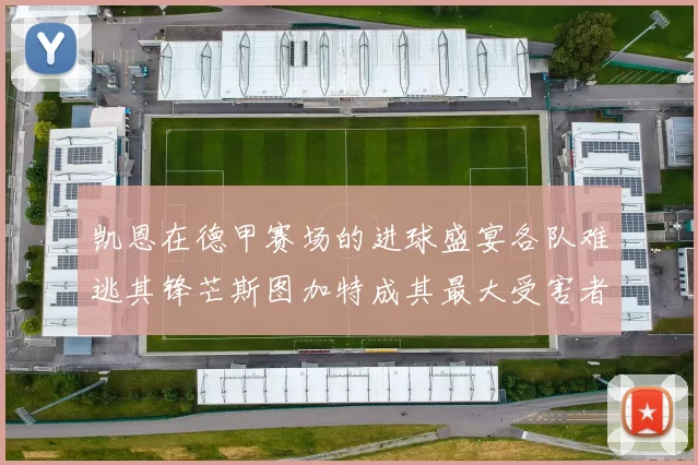 凯恩在德甲赛场的进球盛宴各队难逃其锋芒斯图加特成其最大受害者