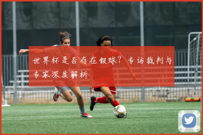 世界杯是否存在假球?专访裁判与专家深度解析