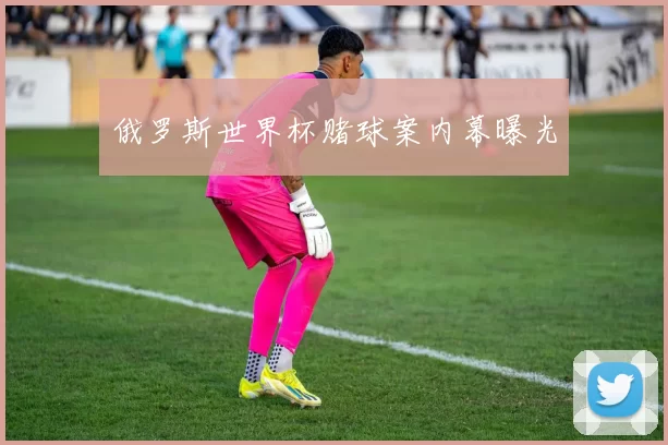 俄罗斯世界杯赌球案内幕曝光