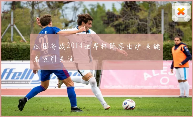 法国备战2014世界杯阵容出炉 关键看点引关注